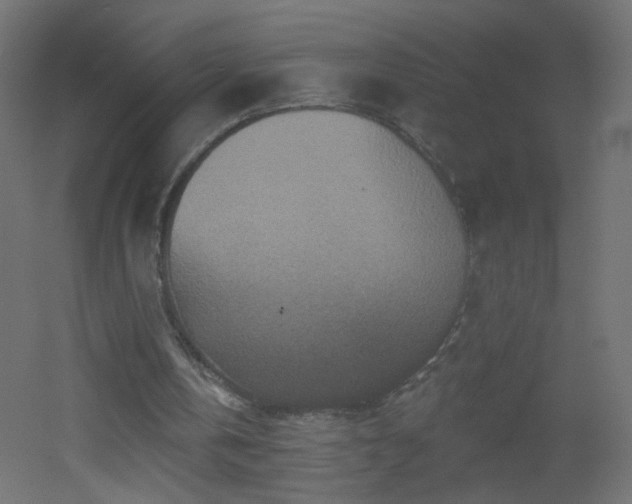 X0000053060146200507111201