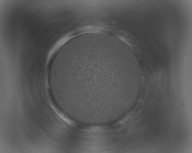 X0000053060149200507111201