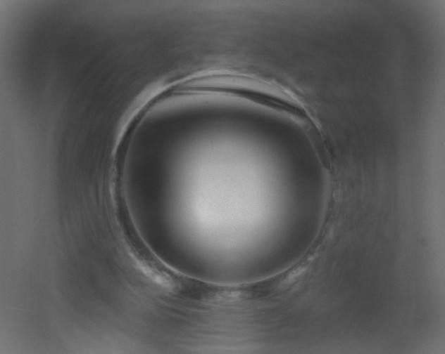X0000053060152200507111201