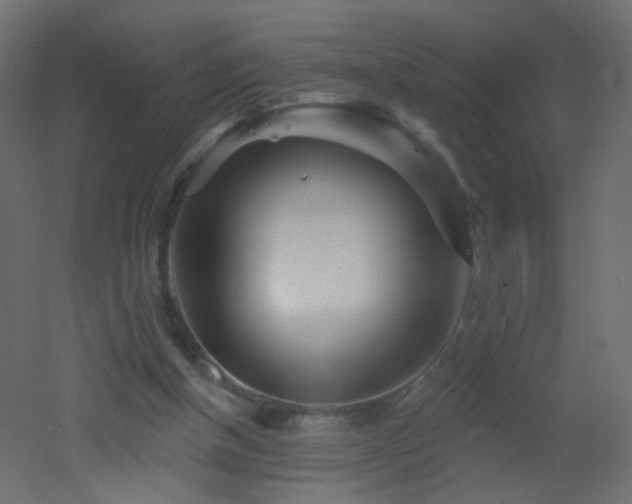 X0000053060154200507111201