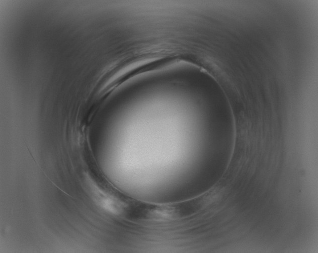 X0000053060164200507111201