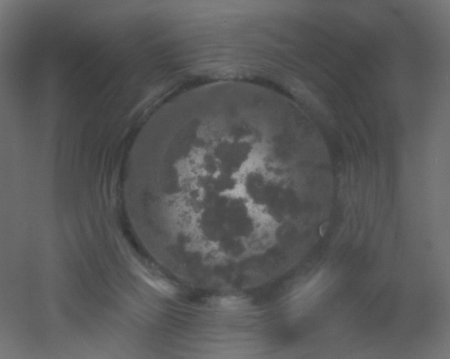 X0000053060165200507111201