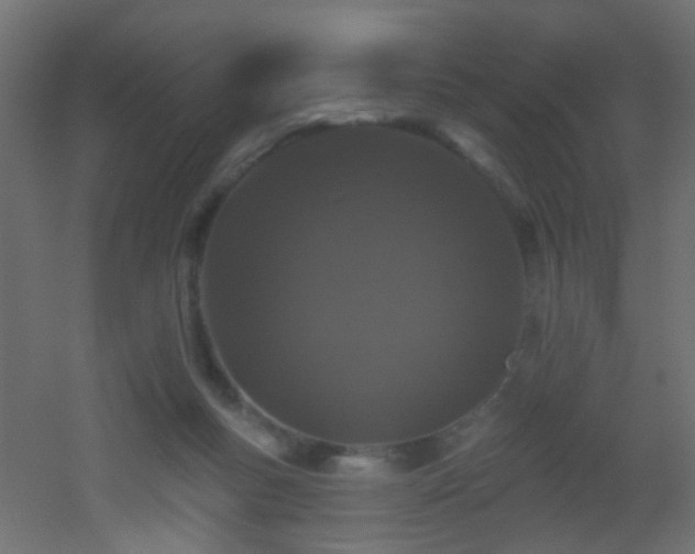 X0000053060167200507111201