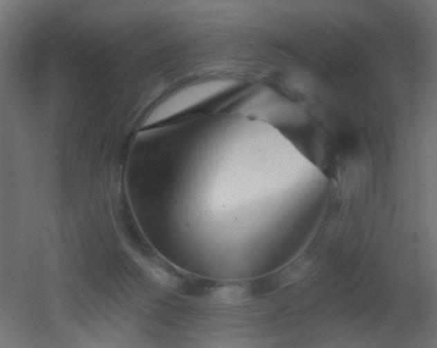 X0000053060168200507111201