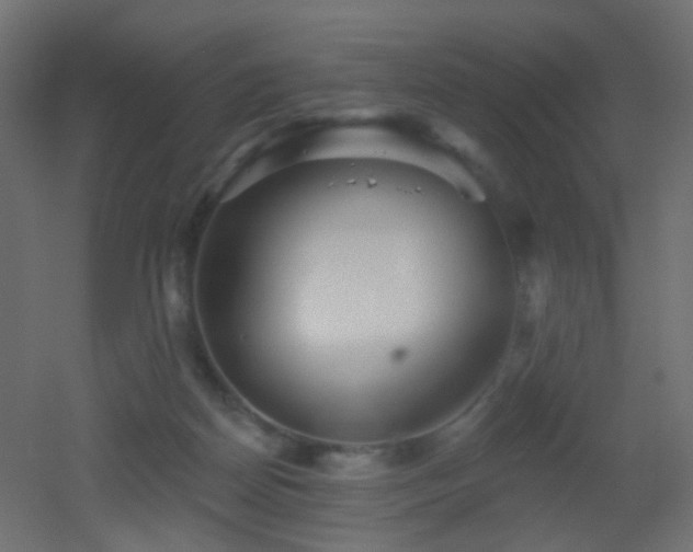 X0000053060170200507111201