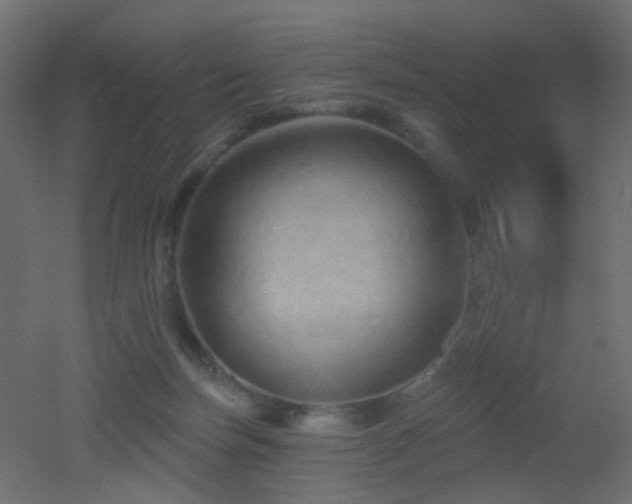 X0000053060171200507111201