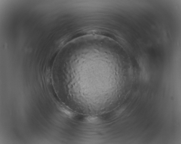 X0000053060189200507111202