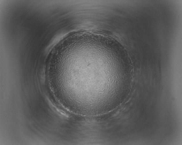 X0000053060194200507111201