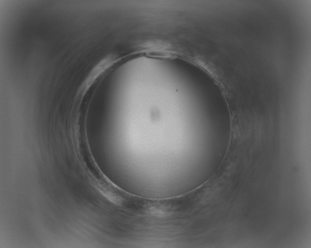 X0000053060199200507111201