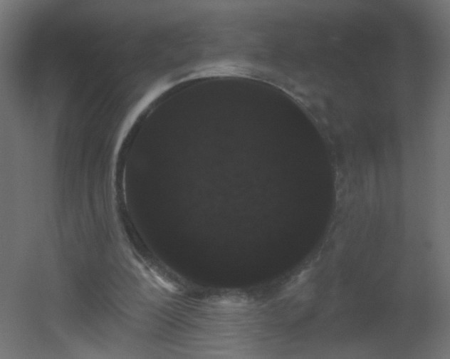 X0000053060200200507111201
