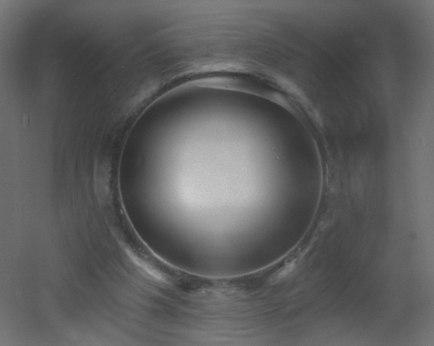X0000053060201200507111201