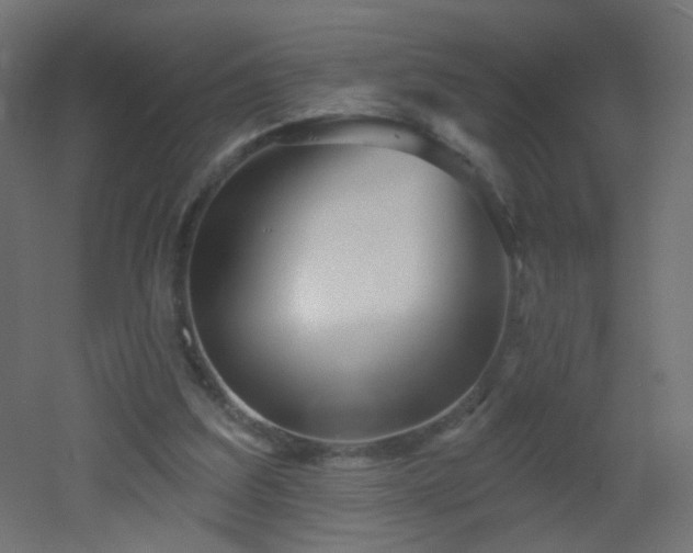 X0000053060203200507111201