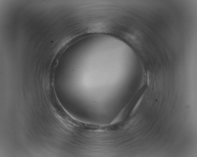 X0000053060204200507111201