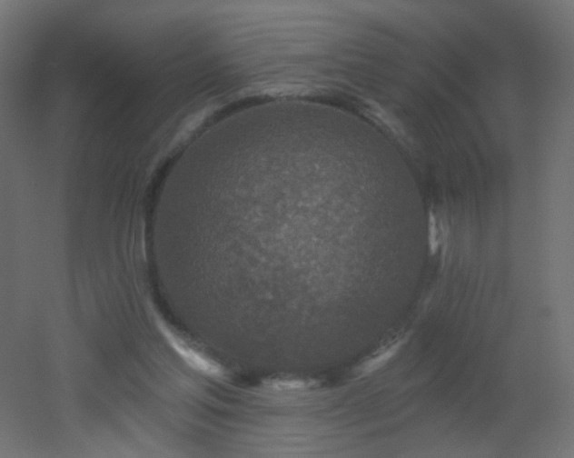 X0000053060205200507111201