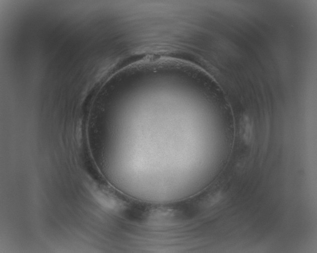 X0000053060206200507111201