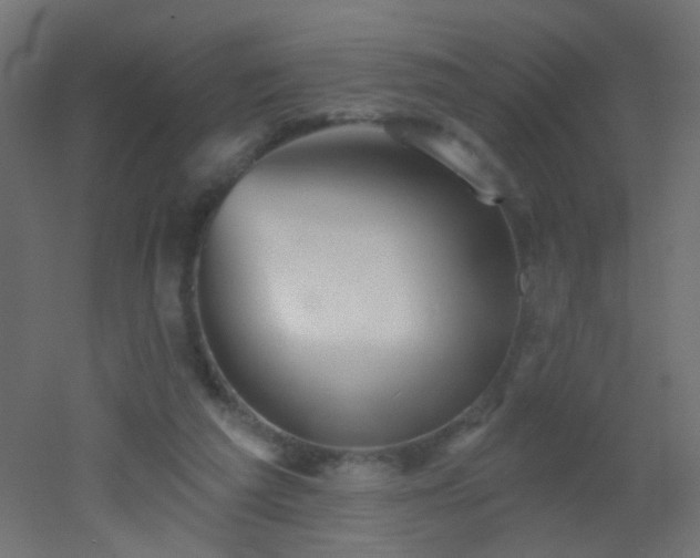 X0000053060209200507111201