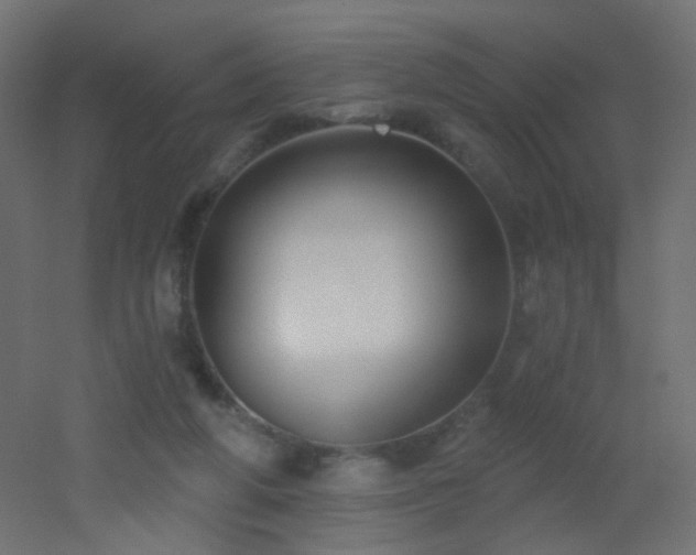 X0000053060210200507111201