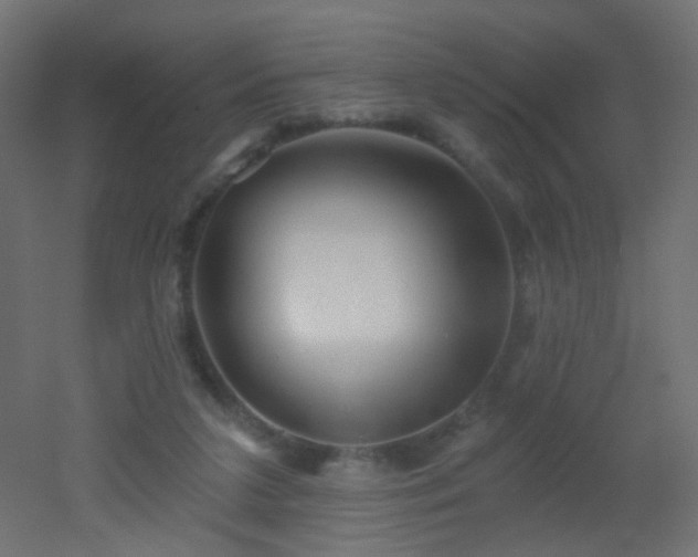 X0000053060211200507111201