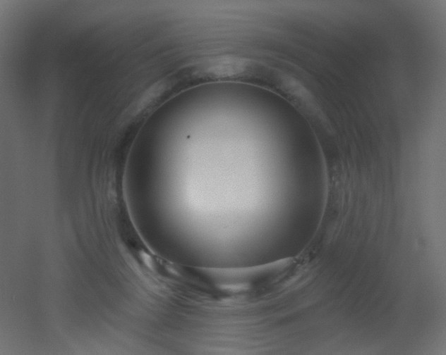 X0000053060212200507111201