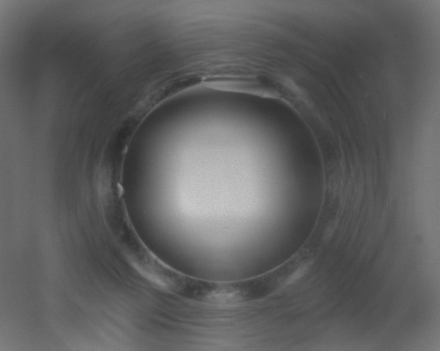 X0000053060213200507111201