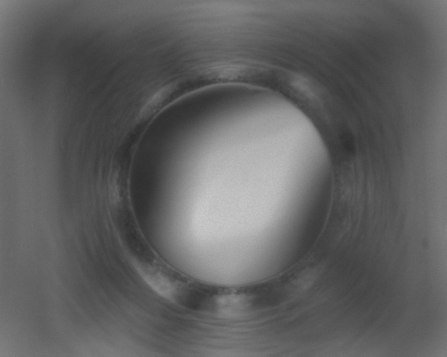 X0000053060216200507111200