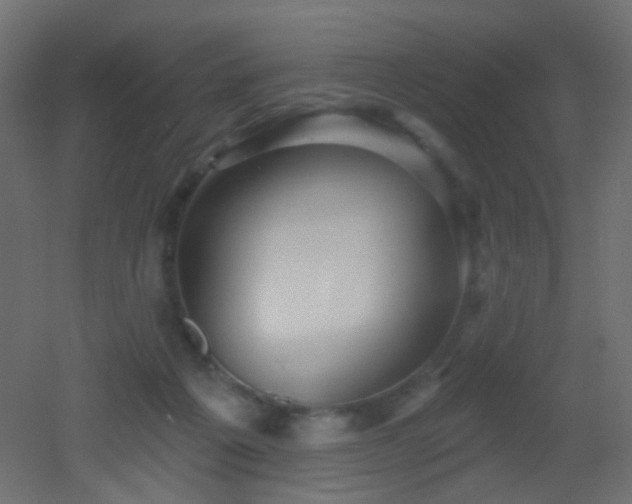 X0000053060217200507111200