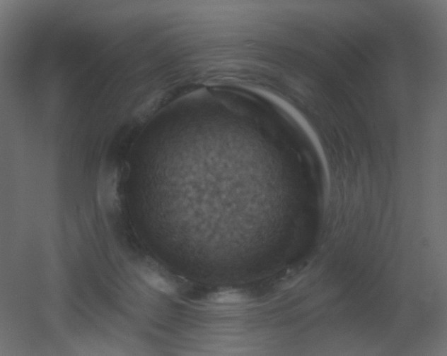 X0000053060219200507111200