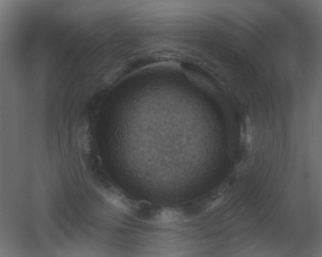 X0000053060223200507111200