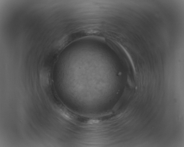 X0000053060227200507111200