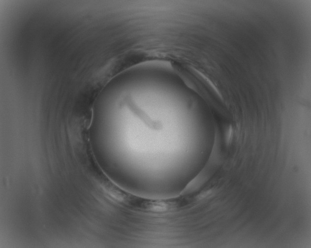 X0000053060229200507111200