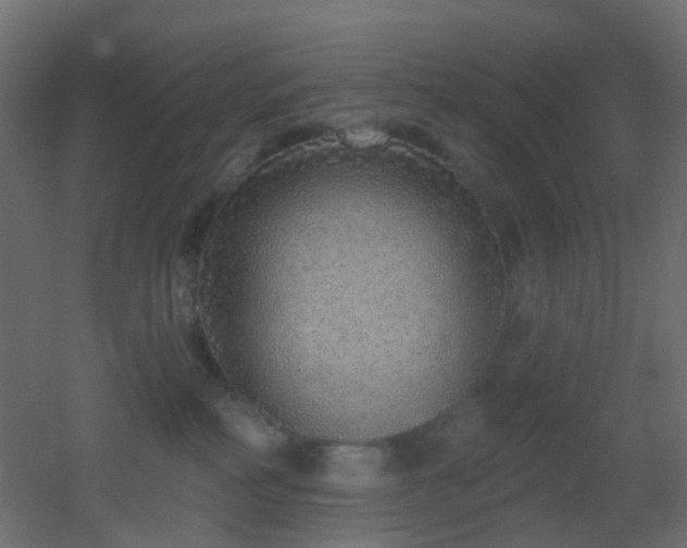 X0000053060234200507111200