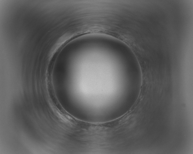 X0000053060242200507111159