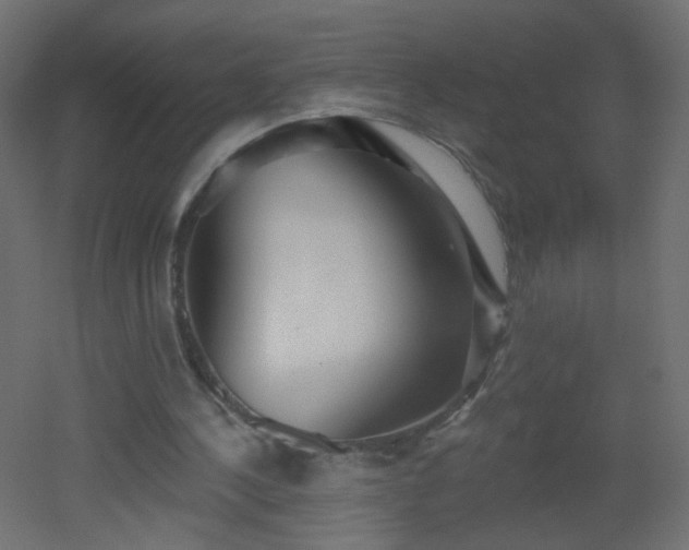 X0000053060244200507111159