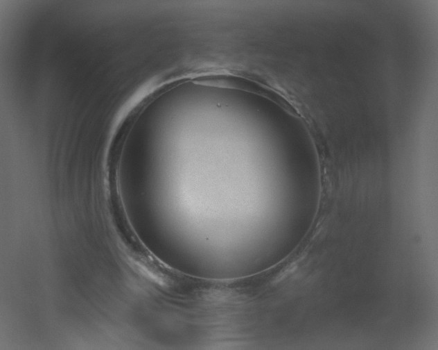 X0000053060246200507111159