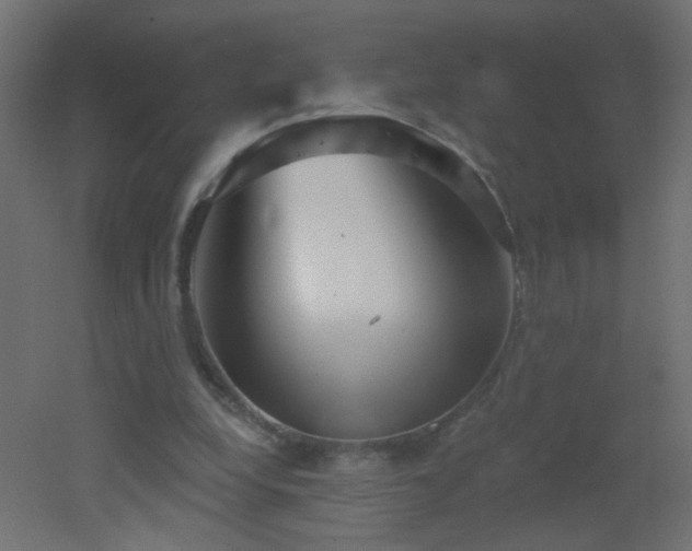 X0000053060248200507111159