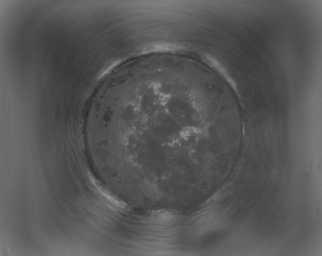 X0000053060249200507111159