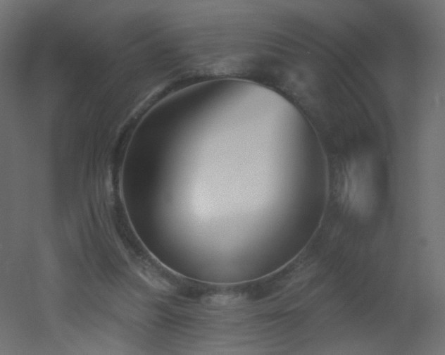 X0000053060251200507111159