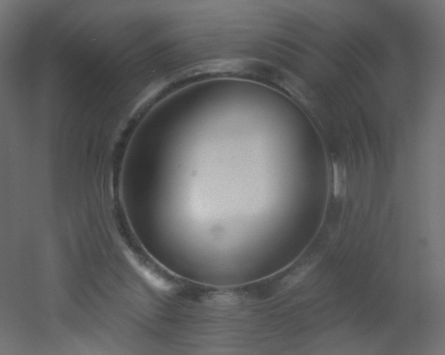 X0000053060253200507111159