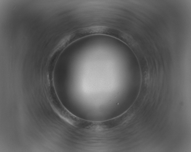 X0000053060254200507111159