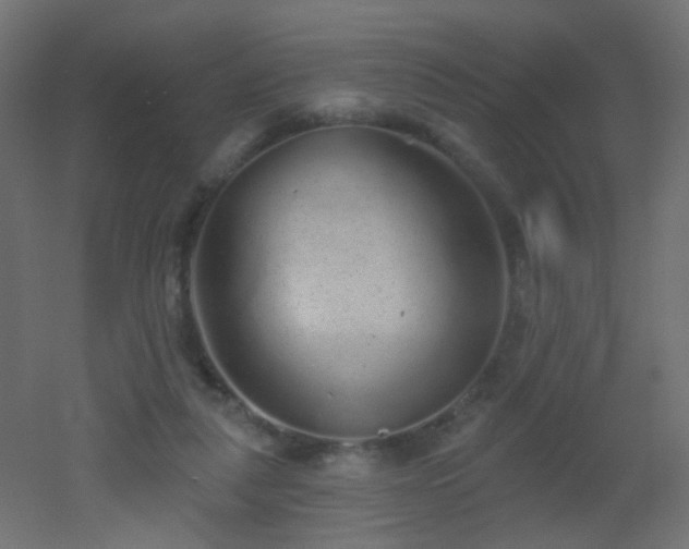 X0000053060259200507111200