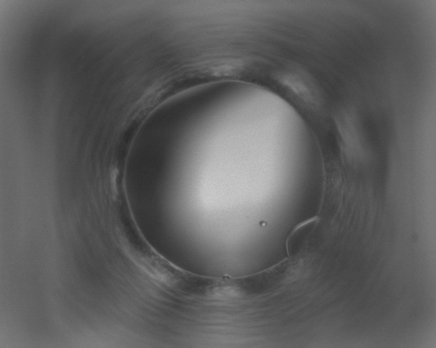 X0000053060262200507111200