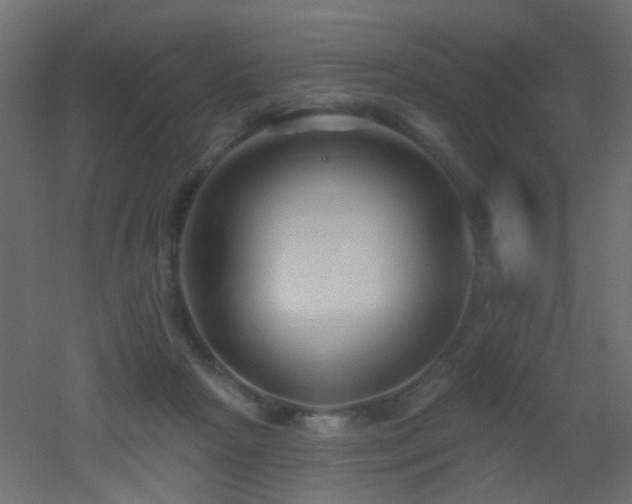 X0000053060265200507111200