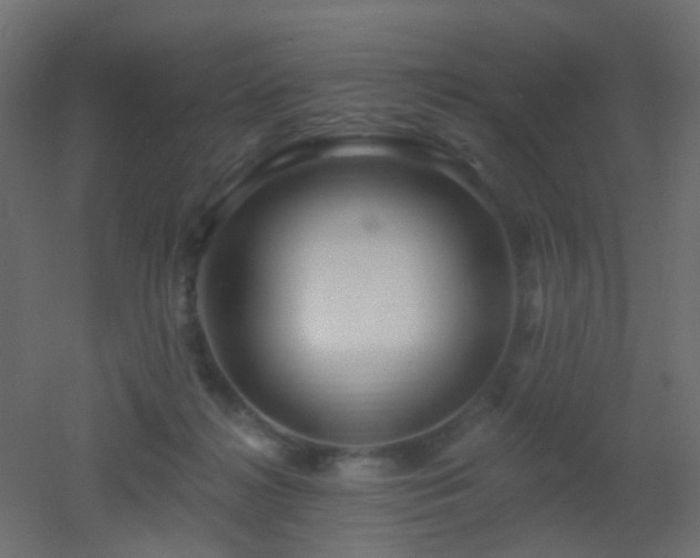 X0000053060268200507111200