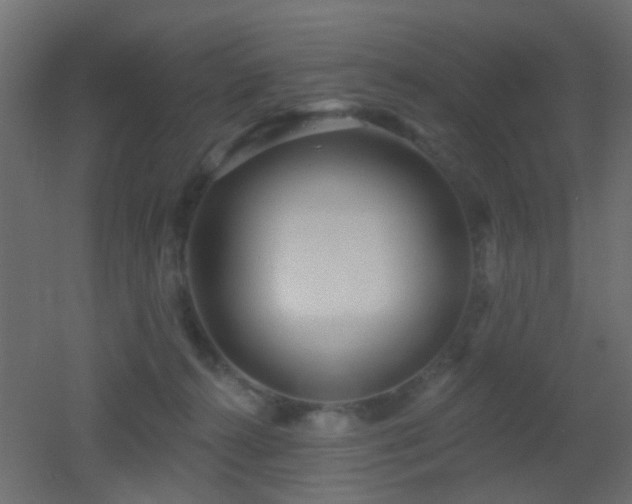 X0000053060272200507111200