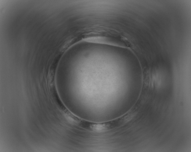 X0000053060273200507111200