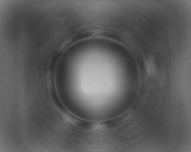 X0000053060274200507111200