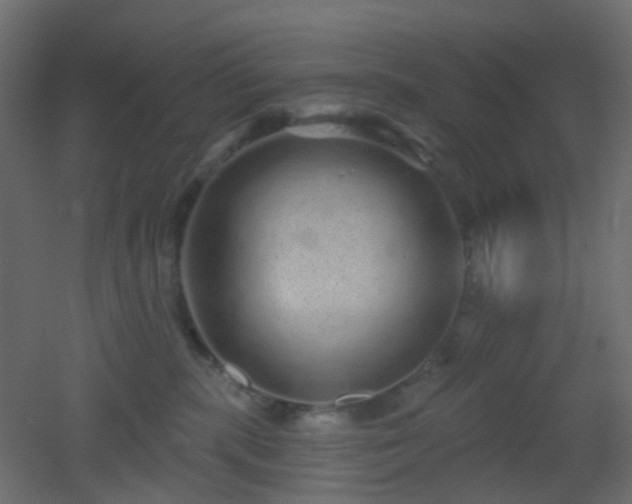 X0000053060283200507111200