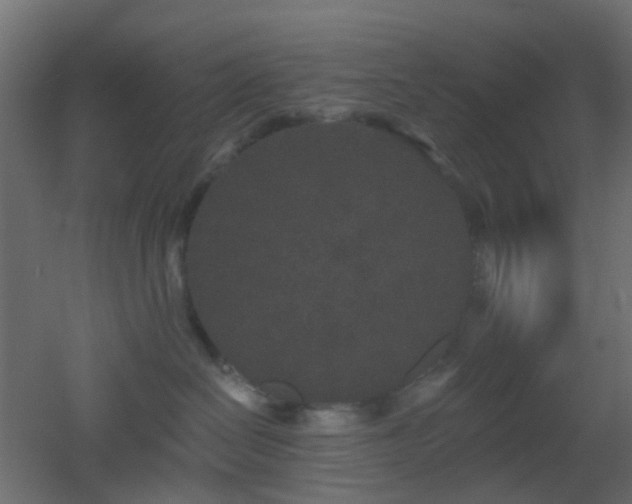 X0000053060286200507111200