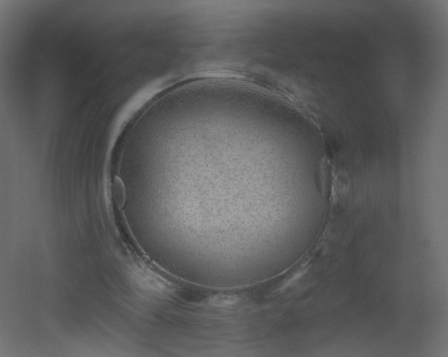 X0000053060294200507111159