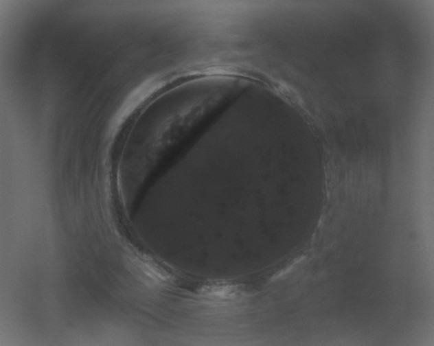 X0000053060295200507111159